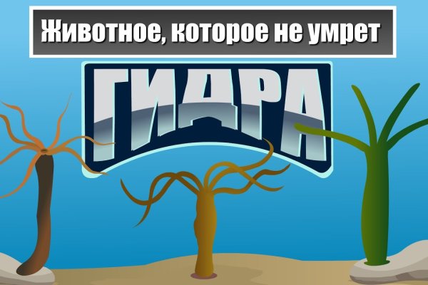 Кракен площадка зеркало