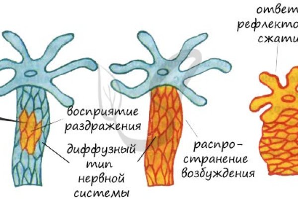 Кракен ориг ссылка