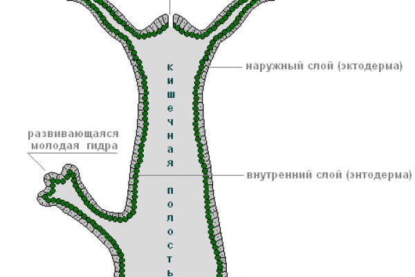 Kraken оригинальная ссылка