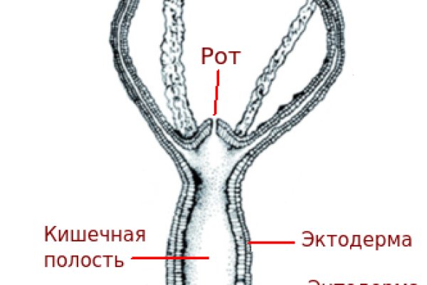 Ссылки сайтов даркнета